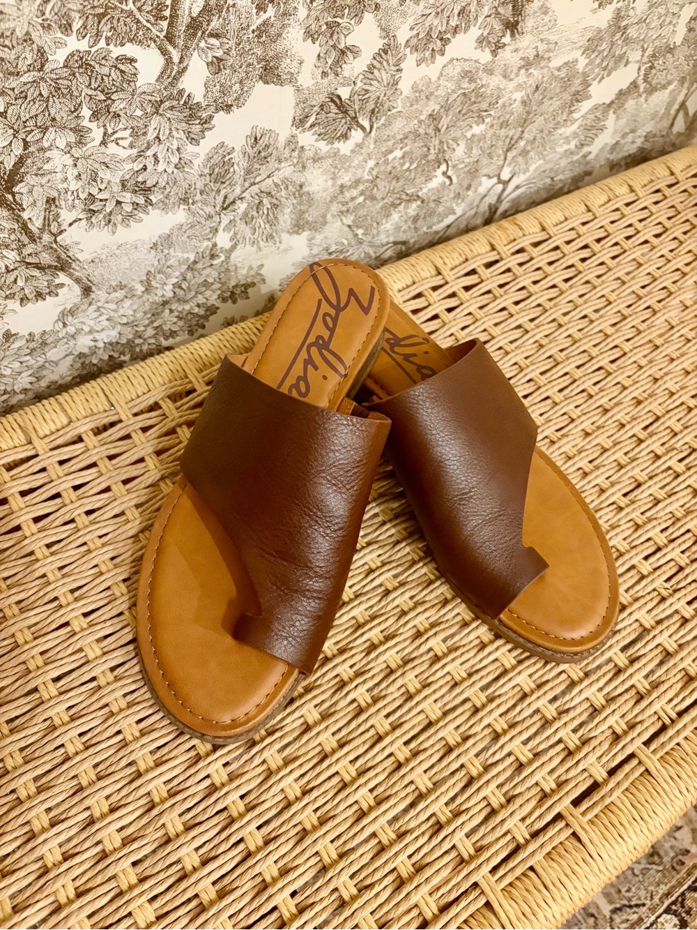 Women’s Zodiac Brown Leather Slide Sandals